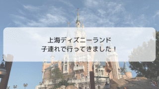 子連れ上海ディズニー体験記 大雨スタートでも楽しめた！アクセス・予約方法・アトラクションレビュー、注意すること