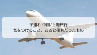 【保存版】子連れ中国/上海旅行で気をつけること＆持って行ってよかったものリスト