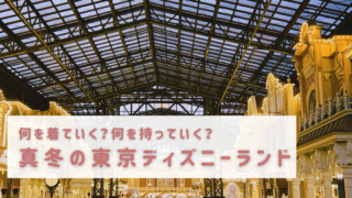 【1月新年ディズニー持ち物,服装】最高気温8度の日に行って分かった防寒対策｜2026年版