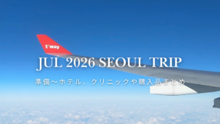 40歳ひとり韓国旅行｜2026年1月極寒の2泊3日ソウルまとめ🇰🇷